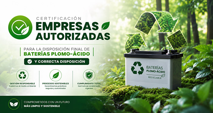 Certificacion-Disposicion-final